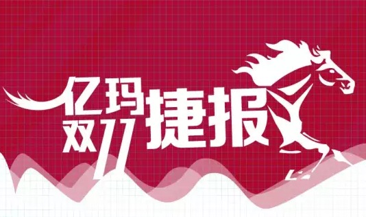 亿玛“双轮驱动”传捷报，助推电商驰骋“双十一”