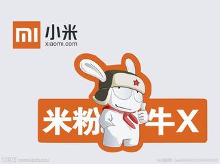 看小米如何变成自己曾讨厌的样子
