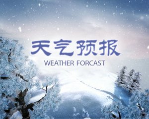 前天北方暴雪，中央气象台携众品牌官微集体花式卖萌