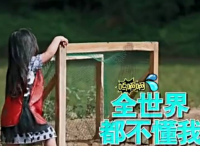 为什么视频花字如此流行？