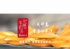 一口唤醒二十年青春记忆的情感营销，到底是什么样？