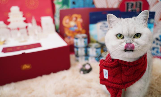 “留守宠物”过年吃喝拉撒全套配齐，天猫国际进口猫粮、智能猫厕所热销
