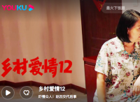 全民宅家做贡献，优酷助力品牌“掘金”大剧营销
