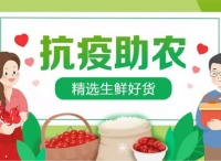 九成淘宝客云复工，共迎经济春天