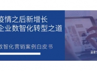后疫情时代的新增长指南：首份《数智化营销案例白皮书》发布