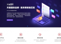 阿里5年2000亿进口又出新招，天猫国际升级海外品牌入驻服务