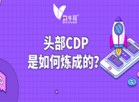 执牛耳十问：头部CDP是如何炼成的？