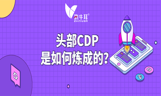 执牛耳十问：头部CDP是如何炼成的？