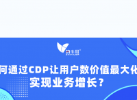 权威报告解码：如何通过CDP让用户数据价值最大化，实现业务增长？