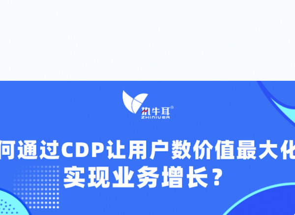 权威报告解码：如何通过CDP让用户数据价值最大化，实现业务增长？