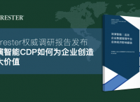 国际权威调研机构报告，深演智能CDP如何为企业创造巨大价值