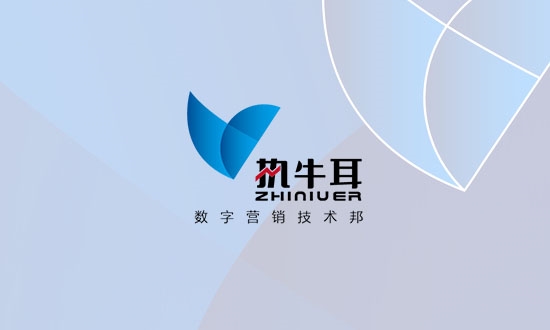 62页《执牛耳汽车消费体验研究》报告发布：13大类52小类255项内容的体验评估指标体系