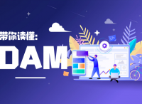 DAM，增强企业竞争力的不二法门